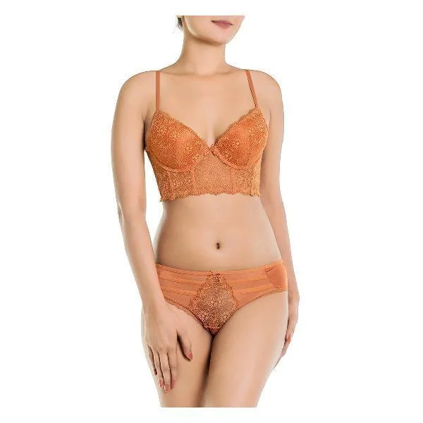 Lace Mesh Longline Sexy Bra Panty Set