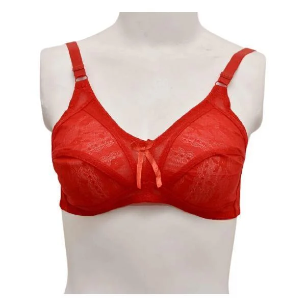 Net Fancy Matching Color Bra